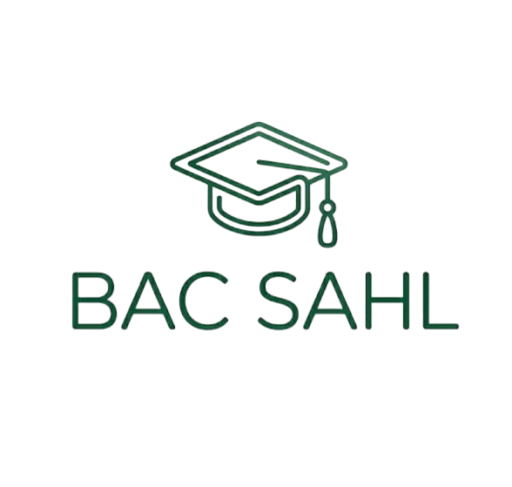BAC SAHL Logo